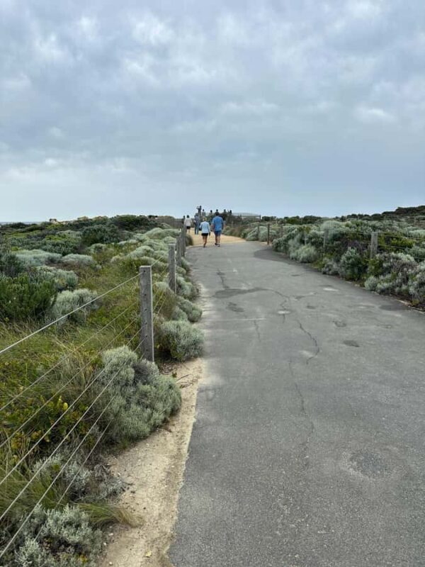 Great Ocean Road reverse Sunrise Tour - Who Will Love This Tour?