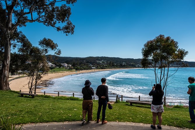 Great Ocean Road Small-Group Ecotour From Melbourne - Customer Experience and Reviews