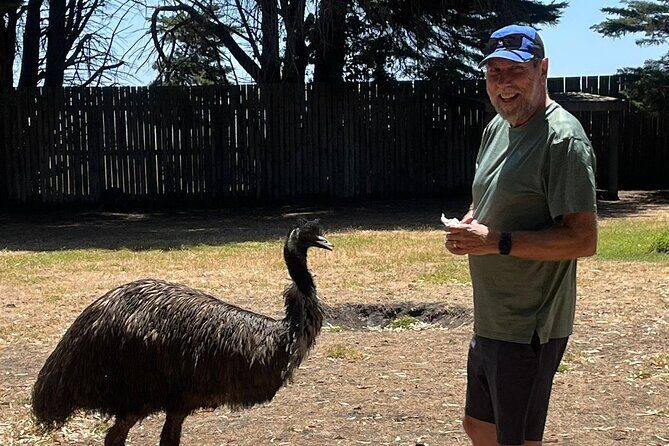 Great Ocean Road Small Group Tour with Dingos, Sparkling & Lunch - FAQ