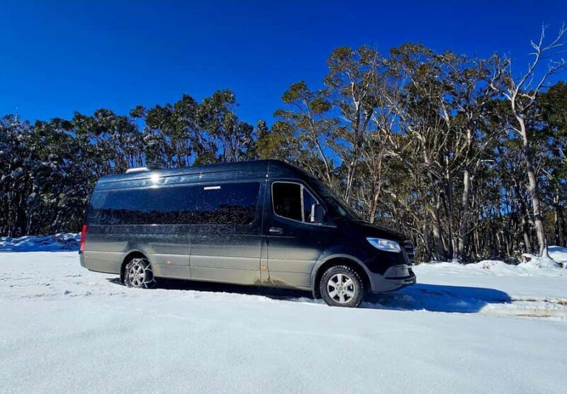Great Private Tours Luxe Bus Lake Mountain Snow Play Tour - Why This Tour Offers Value and Authenticity