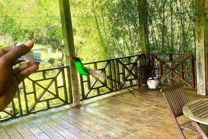 Great River Bamboo Rafting and Bird Sanctuary Combine Tour From Montego Bay - Who Will Love This Tour?