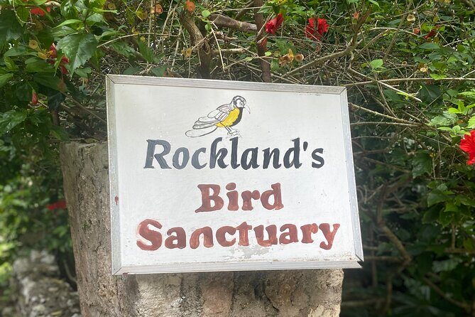 Great River Bamboo Rafting and Bird Sanctuary Combine Tour From Montego Bay - The Sum Up: Is This Tour Worth It?