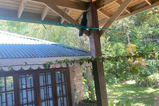 Great River Bamboo Rafting and Bird Sanctuary Combine Tour From Montego Bay - FAQ