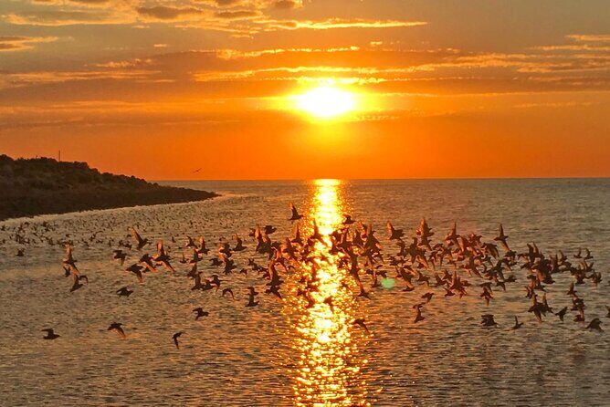 Great Salt Lake Birding and Nature Adventure - FAQs about the Great Salt Lake Birding and Nature Adventure