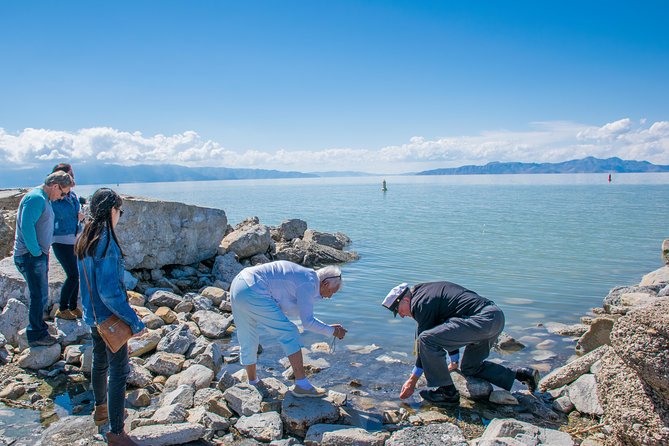 Great Salt Lake Guided Bus Tour From Salt Lake City - Tour Logistics and Accessibility