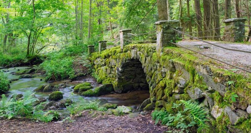 Great Smoky Mountains: Elkmont Historic District Tour - A Deep Dive into the Experience