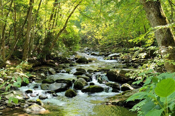 Great Smoky Mountains National Park Self-Guided Audio Tour - Who Will Love This Tour?
