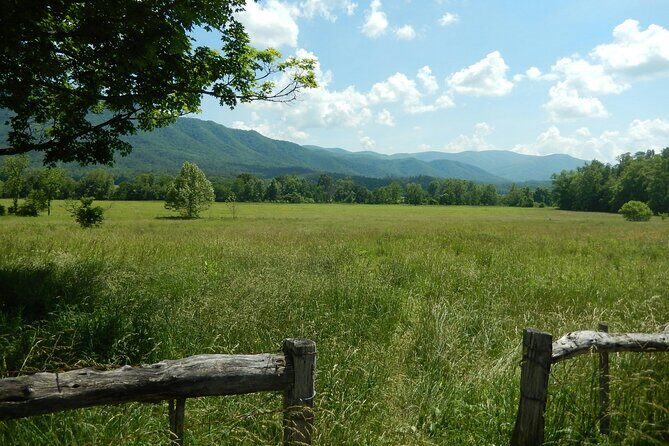 Great Smoky Mountains Self-Guided Scenic Drive and Audio Tour - Who Is This Tour Best For?