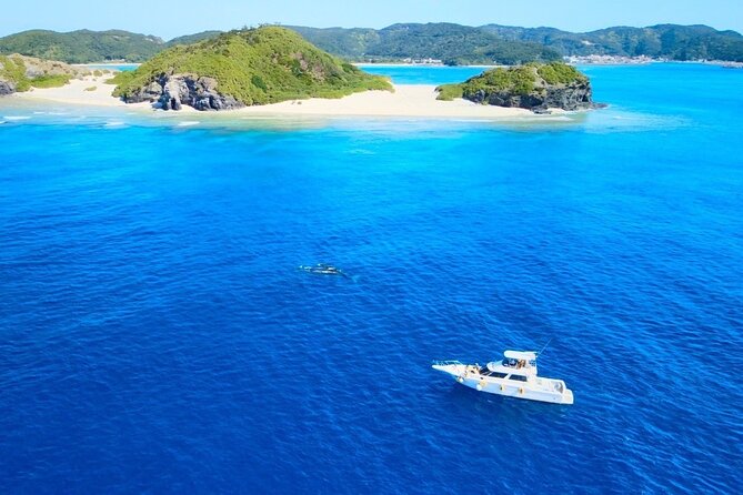 Great Whale Watching at Kerama Islands and Zamami Island - Preparing for the Adventure