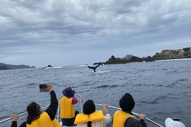 Great Whale Watching at Kerama Islands and Zamami Island - The Surrounding Beauty