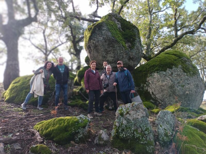 Gredos: Guided Hike in the Vettón Forest - Itinerary and Exploration