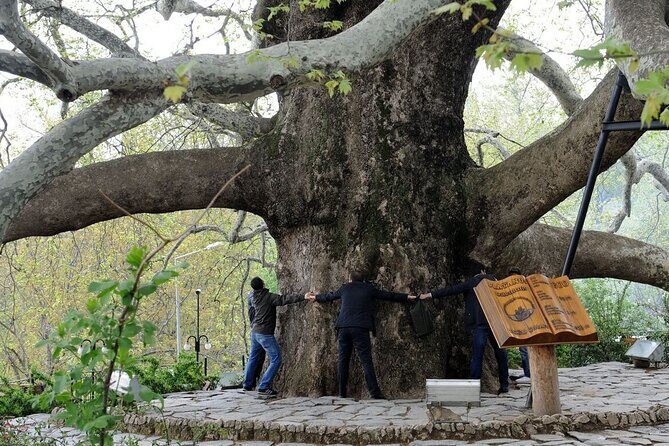 Green Bursa and Uluda Tour from Istanbul - Practical Tips for Making the Most of the Tour