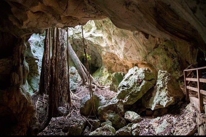 Green Grotto Cave and River tubing Adventure - Why This Tour Will Appeal to You