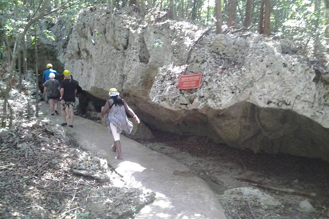 Green grotto cave tour - An In-Depth Look at the Green Grotto Caves Tour