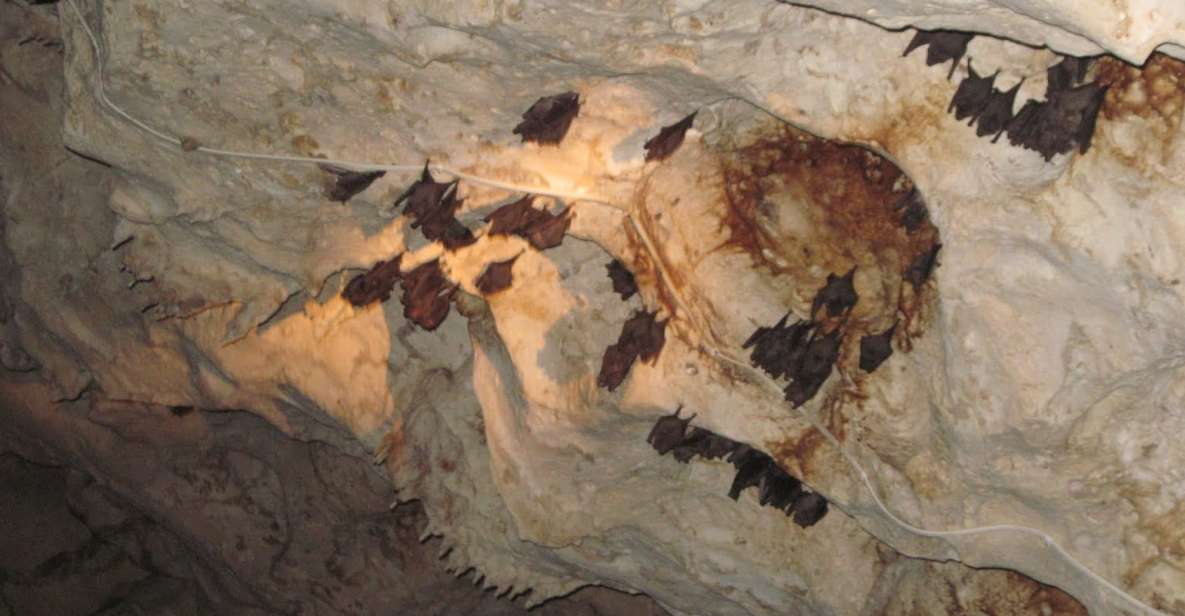 Green Grotto Caves and Puerto Seco Beach Private Tour - Highlights of the Tour