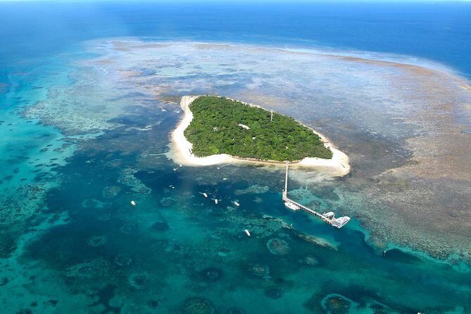 Green Island Day Trip from Cairns with Beaches Transfers - Introduction