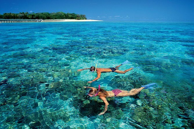 Green Island Day Trip from Cairns with Beaches Transfers - Who Should Consider This Tour?