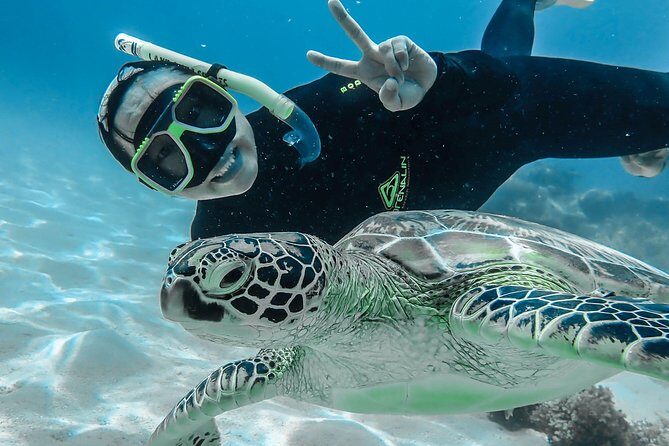 Green Island Day Trip from Cairns with Beaches Transfers - The Sum Up