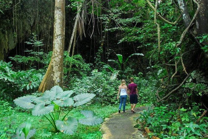 Green Monkey Time - An In-Depth Look at the Tour Experience