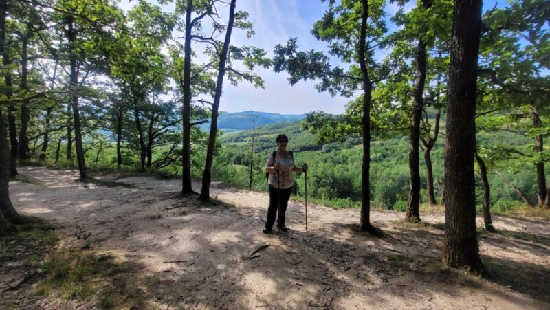 Green Tour - Day Trip From Cluj - Tour Highlights