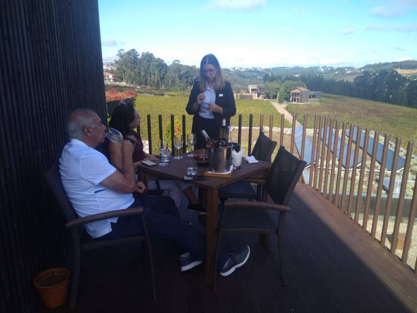 Green Wine 2 Wineries + Guimarães - From Porto - Additional Information
