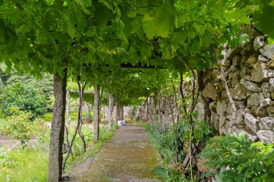 Green Wine Private Wine Tour - Frequently Asked Questions