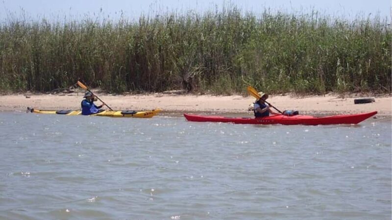 Greenland Paddle | Sea Kayaking Skills Development Course - The Experience Provider and Similar Activities
