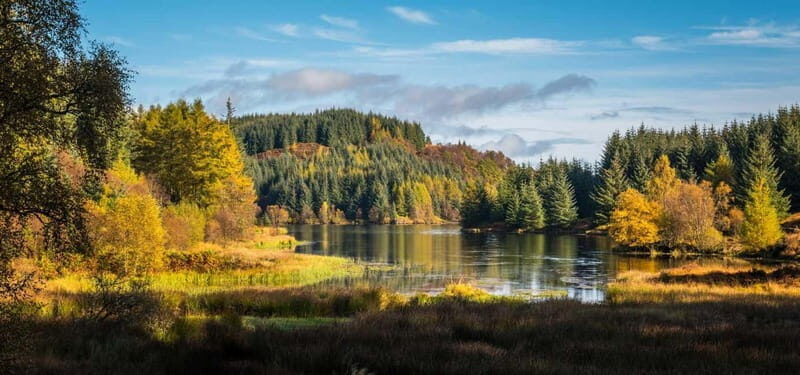 Greenock: Loch Lomond, Trossachs & Stirling Castle Tour - An In-Depth Look at the Tour Experience