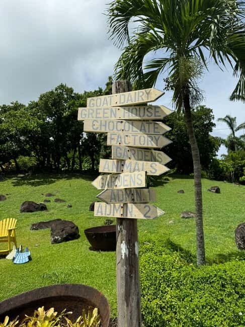 Grenada: Belmont Estate Tree to Bar Chocolate Workshop - The Experience Provider and Practicalities