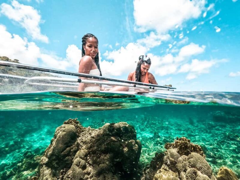 Grenada: Clear Kayak Tour with Drone Photoshoot - An In-Depth Look at the Experience