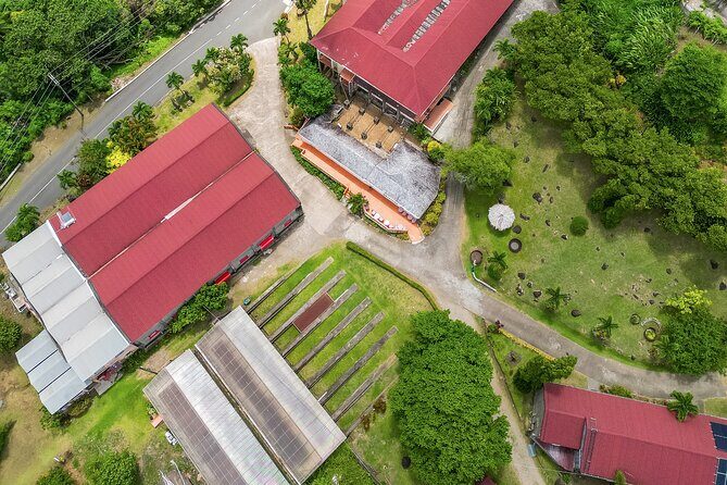 Grenada Day Tour-Concord Falls, Chocolate, Rum & Grand Etang Lake - How the Tour Unfolds