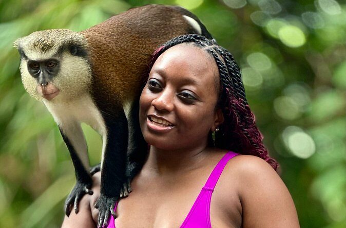 Grenada Day Tour-Concord Falls, Chocolate, Rum & Grand Etang Lake - Analyzing the Value