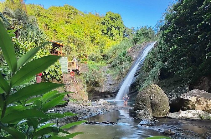 Grenada Day Tour-Concord Falls, Chocolate, Rum & Grand Etang Lake - Who Should Consider This Tour?