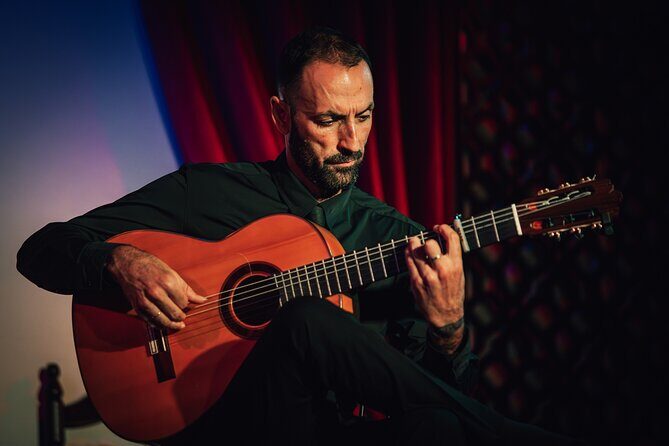 Grenada: Flamenco Palace, the best show in the center - The Experience: Why It Delivers Value