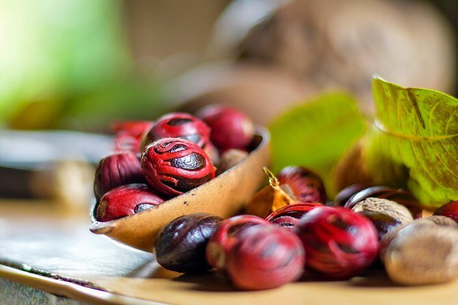 Grenada Half Day Tour: Fort, Spice, Falls, Chocolate & Lunch Stop - Detailed Breakdown of the Tour Experience