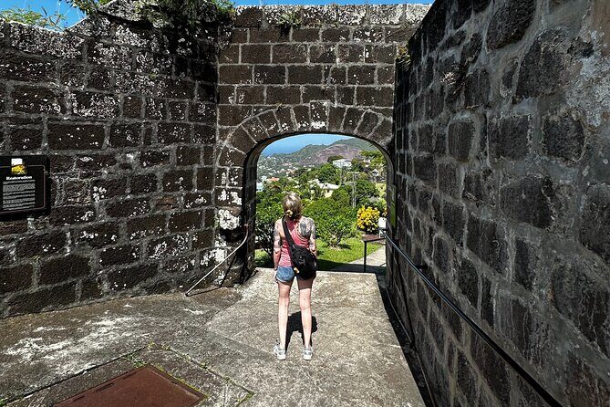 Grenada Half Day Tour: Fort, Spice, Falls, Chocolate & Lunch Stop - Practical Details and Value  