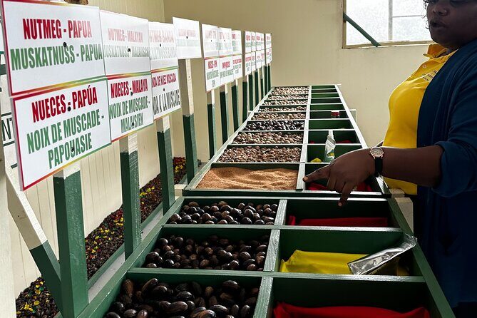 Grenada Half Day Tour: Fort, Spice, Falls, Chocolate & Lunch Stop - The Sum Up