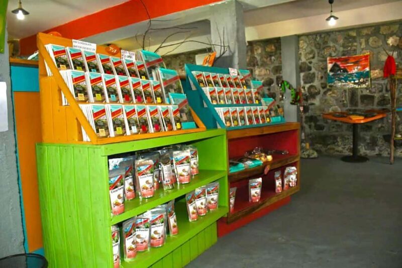 Grenada Half Day Tour: Fort, Spice, Falls, Chocolate & Lunch - Key Points