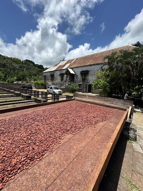 Grenada Half Day Tour: Fort, Spice, Falls, Chocolate & Lunch - Exploring Grenada in Four Hours