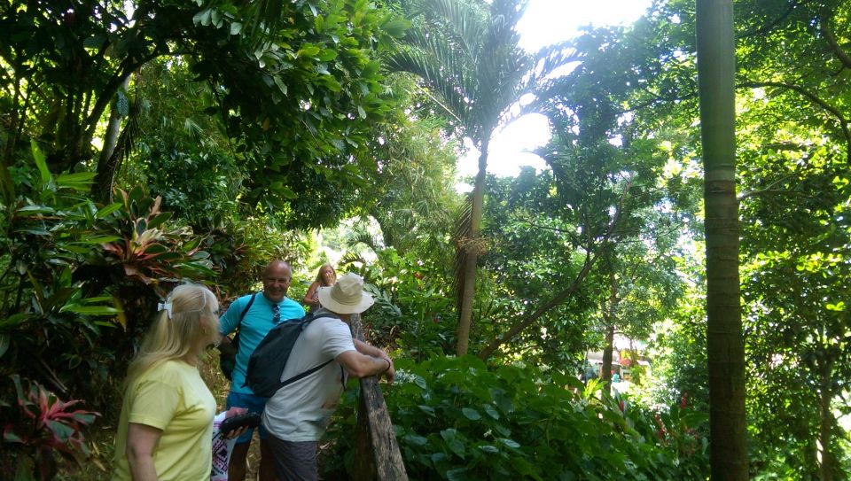 Grenada: Half-Day Unspoiled Tropical Island Experience - Crater Lake Viewpoint