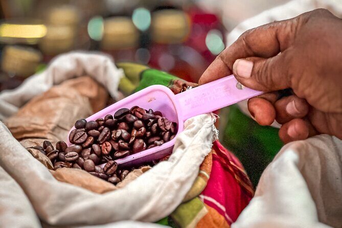 Grenada Highlights: City Tour, Fort, Chocolate, Rainforest- Falls - What We Love About This Tour