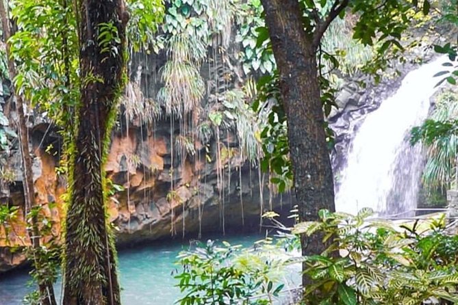 Grenada Island Food & Sightseeing Tour (Full/Half Day) - Tips for Travelers