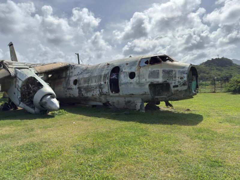 Grenada: Island Tour with Waterfalls and Beaches - Key Points