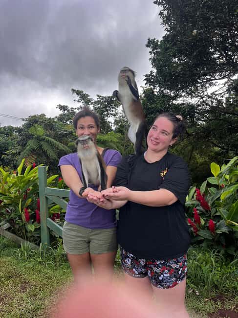 Grenada: Island Vibes in the Spice-Isle - An In-Depth Look at the Tour Experience