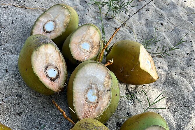 Grenada Luxury Private Boat Cruises - Practical Details and What You Need to Know