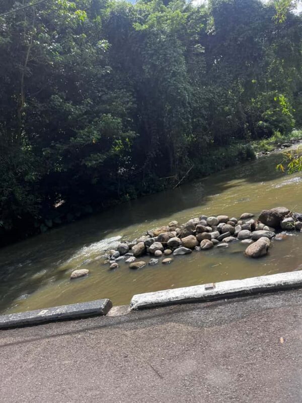 Grenada: River Tubing Adventures - The Sum Up