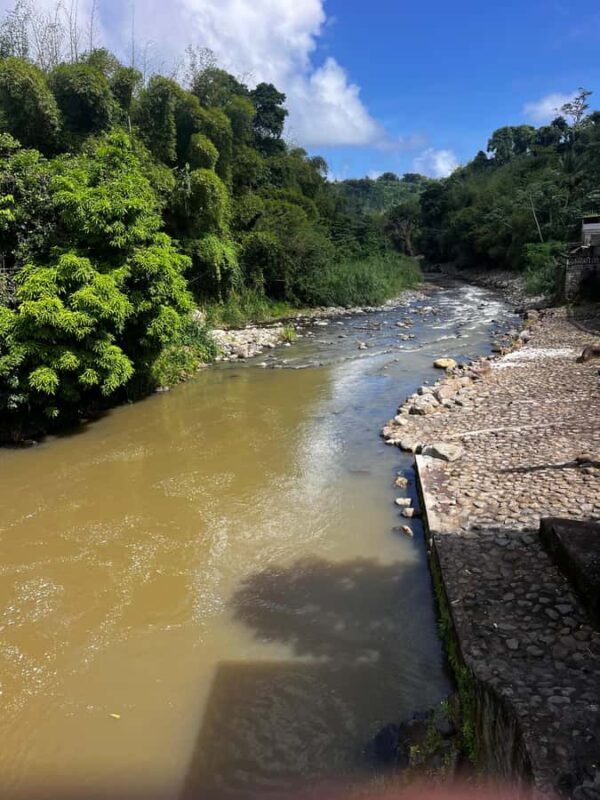 Grenada: River Tubing Adventures - Why Travelers Love the Experience