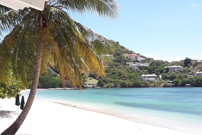 Grenada Skylink Transfer - Customer Experiences and Feedback