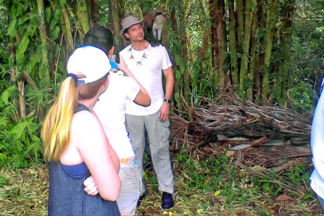 Grenada Spice Gardens, Rum & Chocolate Tour (Full/Half Day) - Customer Reviews and Feedback