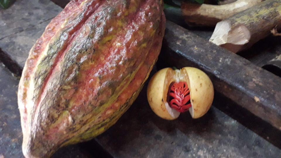 Grenada: Spice Island Expedition. - Live Tour Guide and Language
